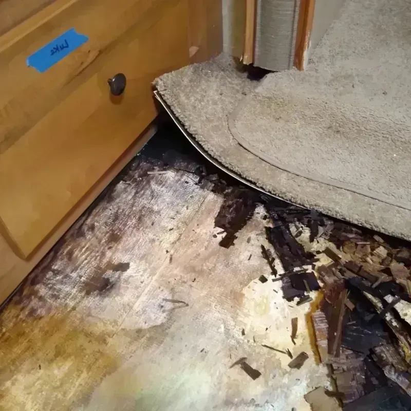 Wood Floor Water Damage in Howard County, MD